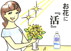 お花に 強命水(諏訪の水維新)マンガで見る使い方・お花に