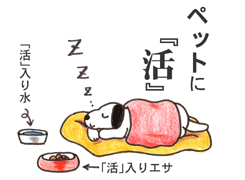 ペットに 強命水(諏訪の水維新)マンガで見る使い方・ペットに